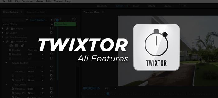 Twixtor Full Features Software