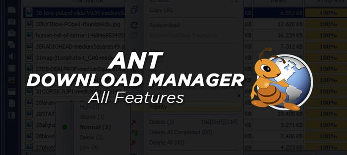 Ant Download Manager Full Software Features