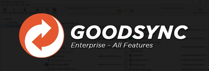 GoodSync Enterprise Full Features Software