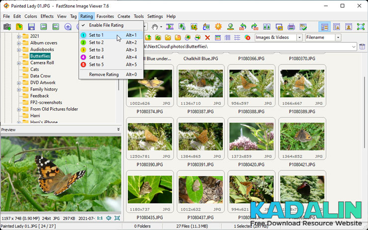 FastStone Image Viewer Full Crack